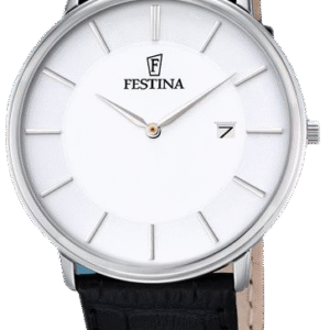 Sleek Watch